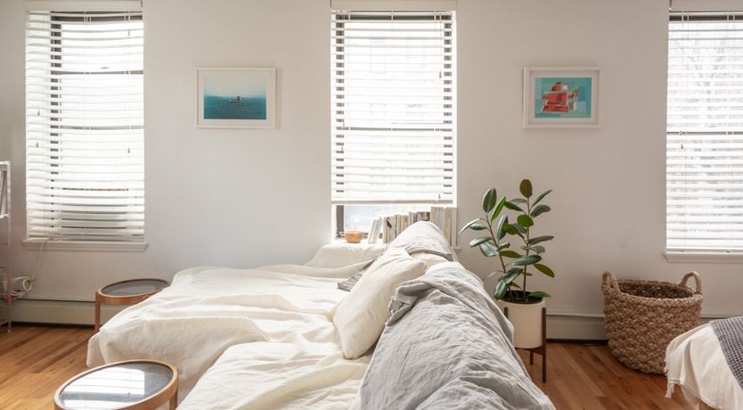 Photo of The Williamsburg Wave