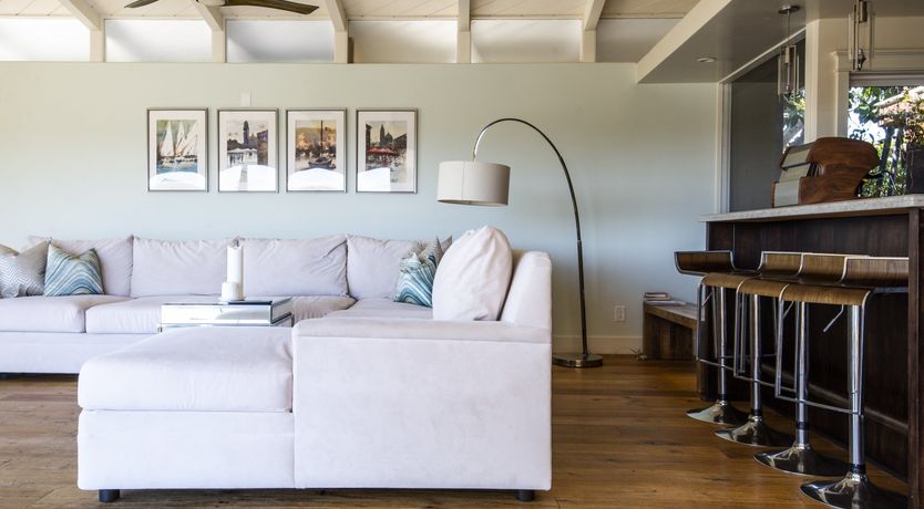 Photo of Sugar for Hummingbirds