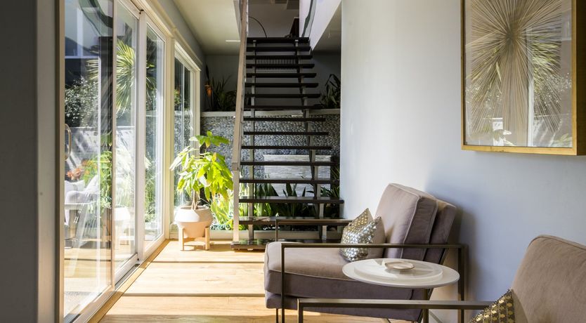 Photo of Sugar for Hummingbirds