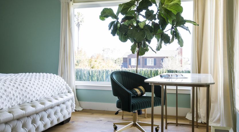 Photo of Sugar for Hummingbirds