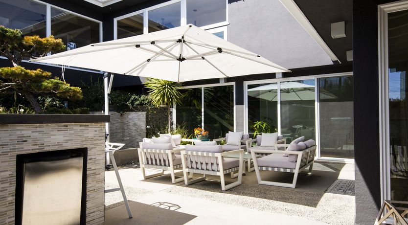 Photo of Sugar for Hummingbirds