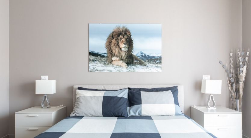 Photo of Illusionism