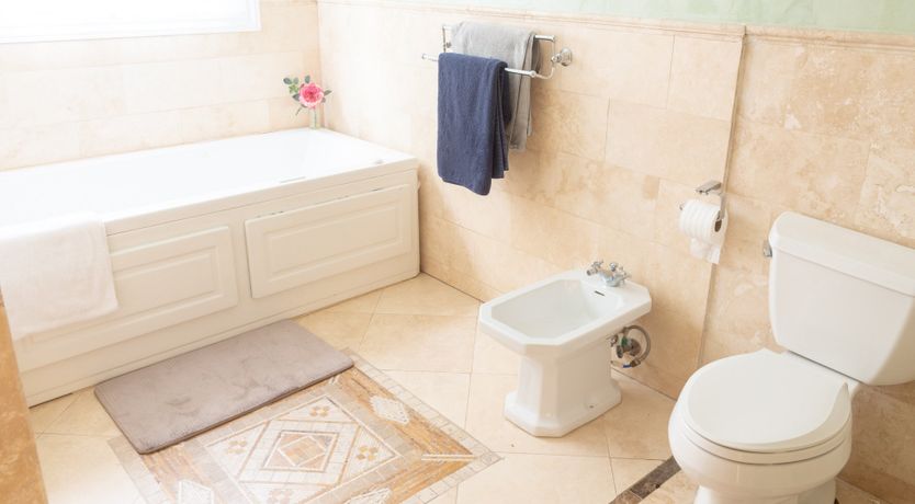 Photo of The Green Gator