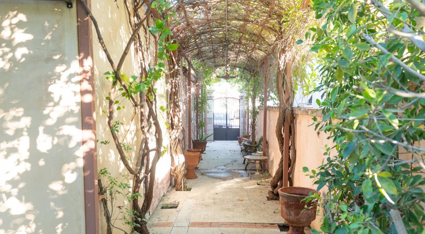 Photo of The Green Gator