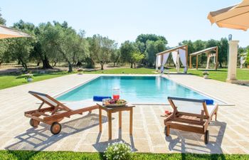 The Olive Villa Villa