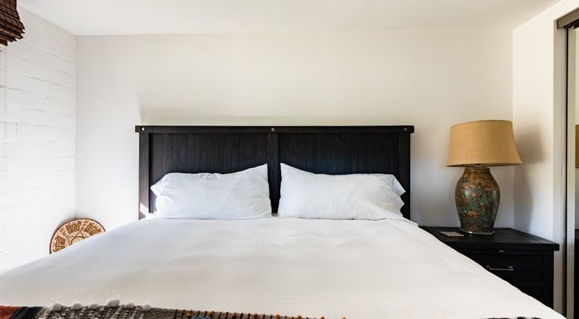 Photo of Cactus Rose