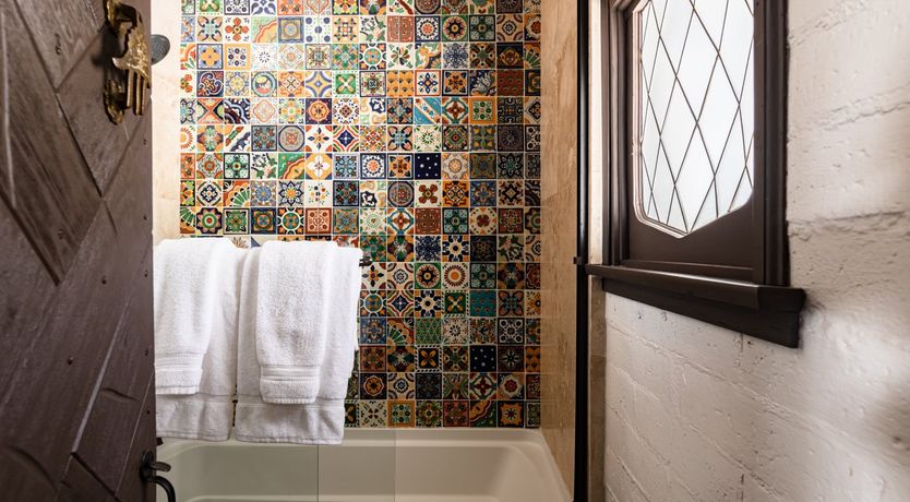 Photo of Cactus Rose