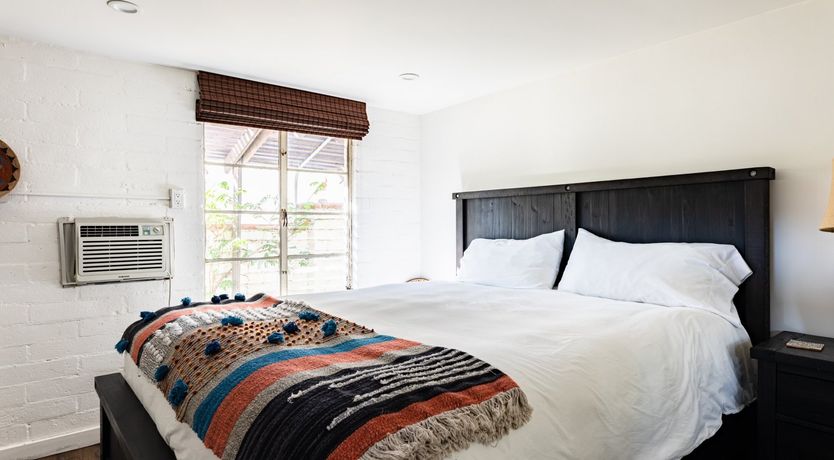 Photo of Cactus Rose