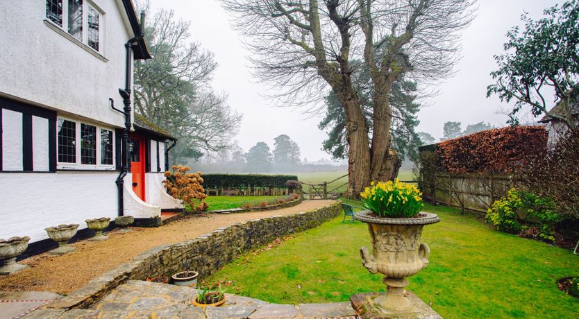 Photo of Emerald & Lush