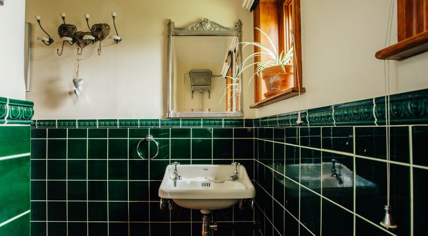 Photo of Emerald & Lush