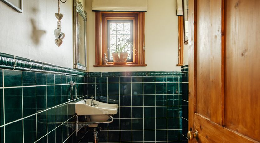 Photo of Emerald & Lush