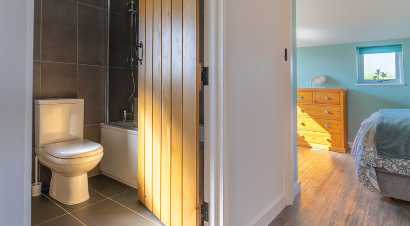 Photo of It's A Dog's Life