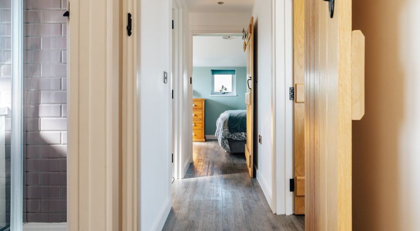 Photo of It's A Dog's Life