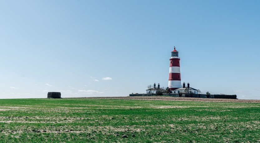 Photo of It's A Dog's Life