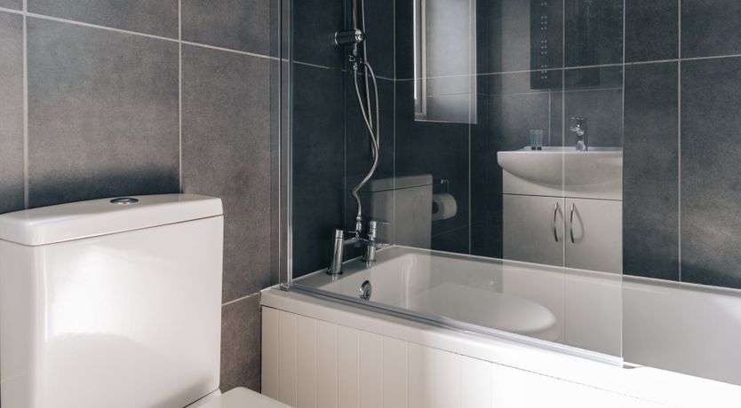 Photo of It's A Dog's Life