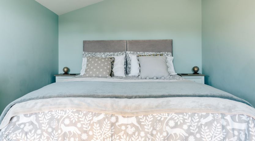 Photo of It's A Dog's Life