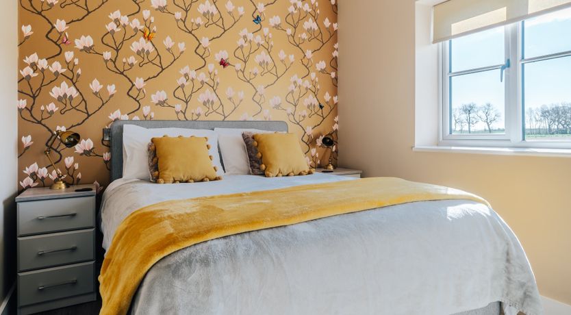 Photo of It's A Dog's Life