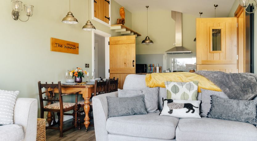 Photo of It's A Dog's Life