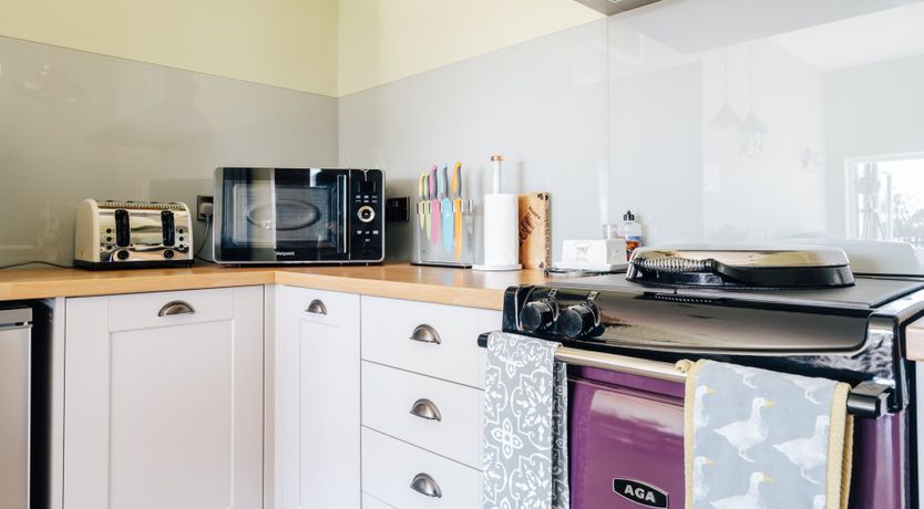 Photo of It's A Dog's Life