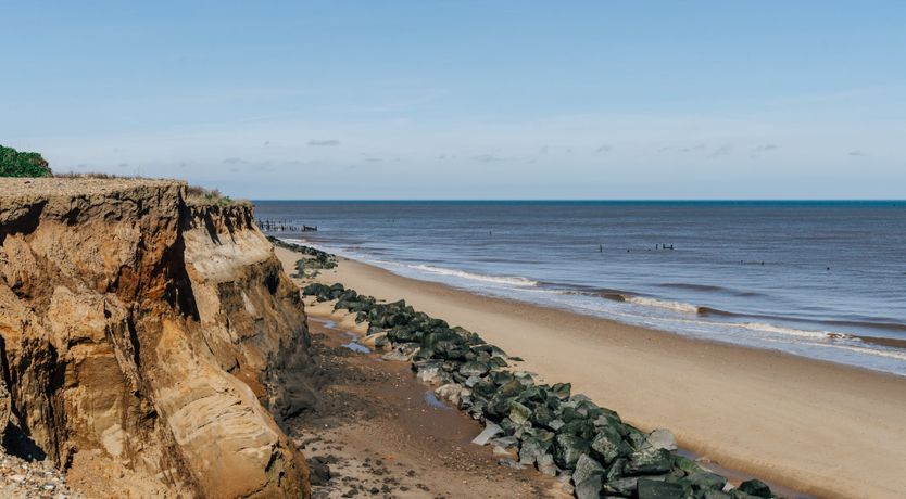 Photo of It's A Dog's Life