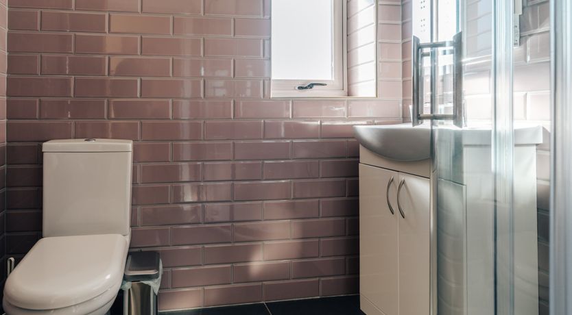 Photo of It's A Dog's Life