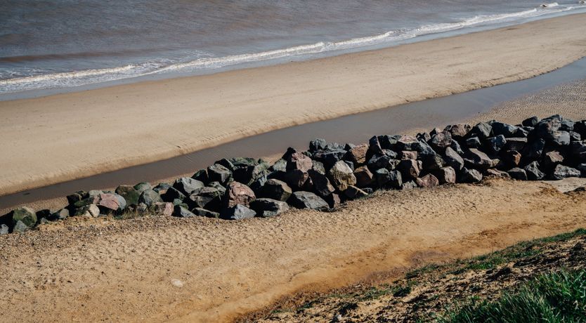 Photo of It's A Dog's Life