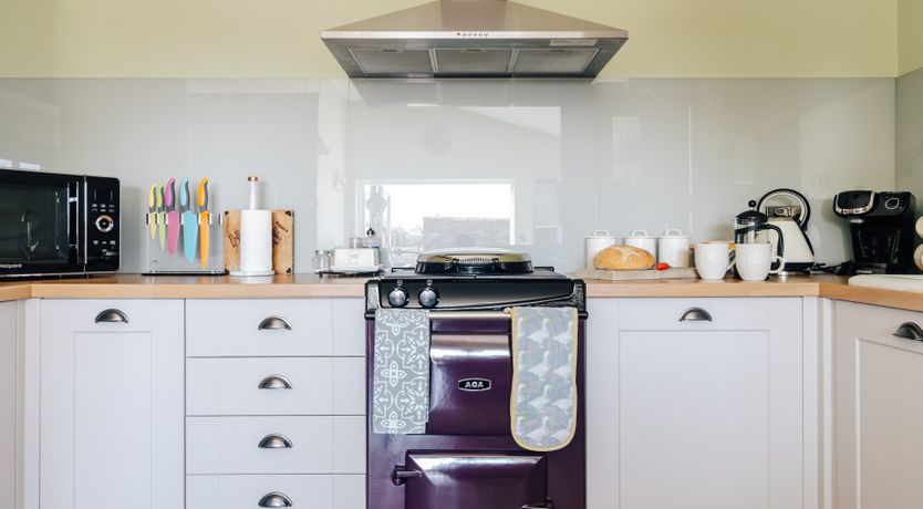 Photo of It's A Dog's Life