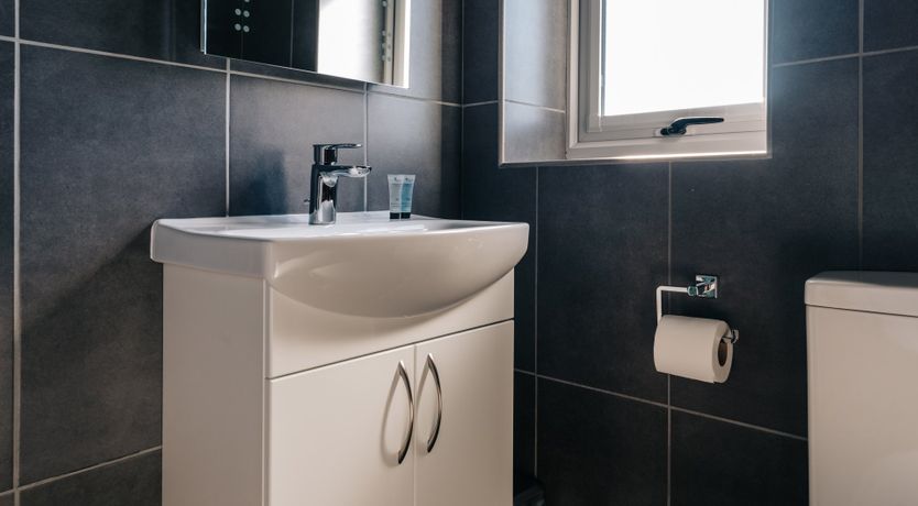 Photo of It's A Dog's Life