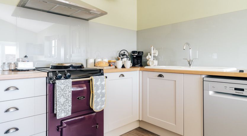 Photo of It's A Dog's Life