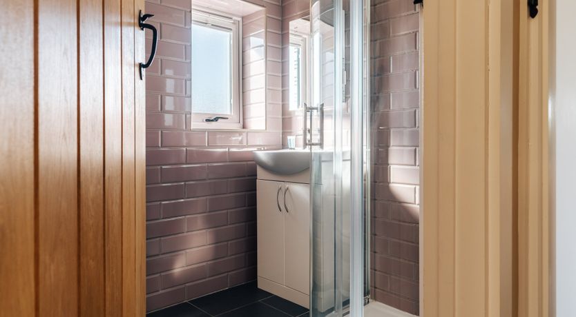 Photo of It's A Dog's Life