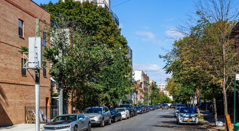 Photo of Mini Brooks