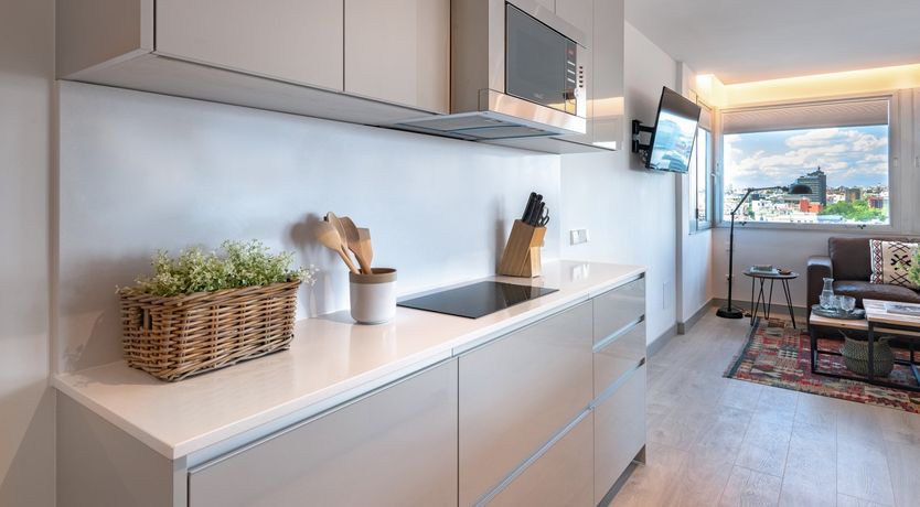 Photo of Soaring Scenes