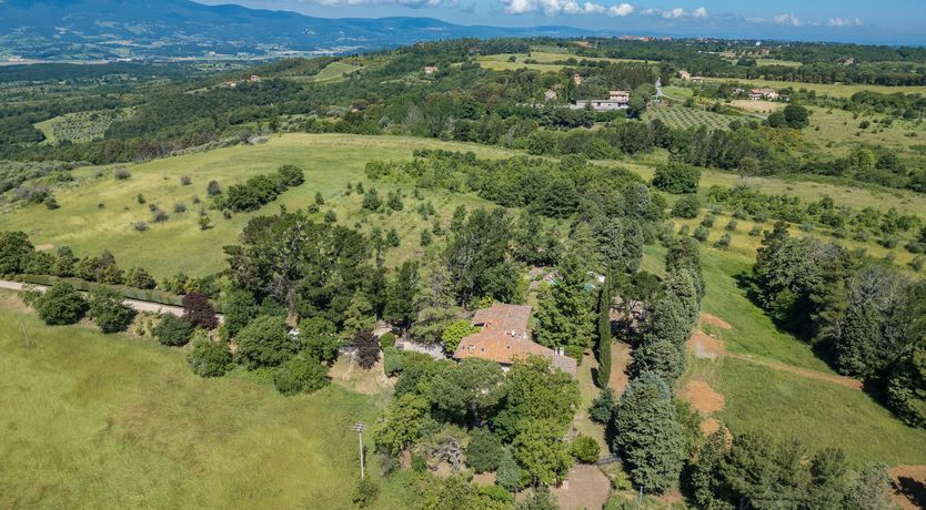 Photo of The Cat's Meow