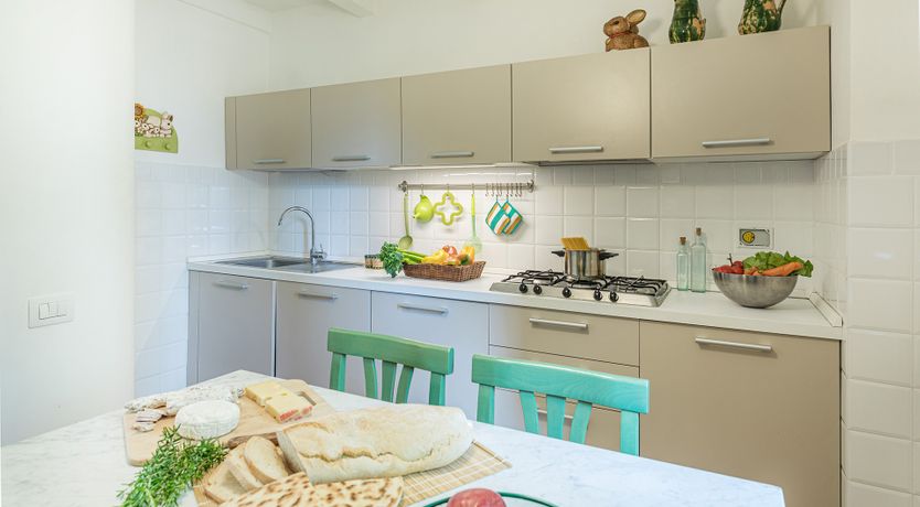 Photo of The Cat's Meow