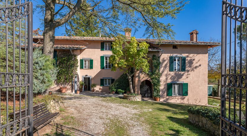 Photo of The Cat's Meow