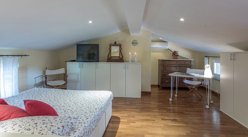 Photo of The Cat's Meow