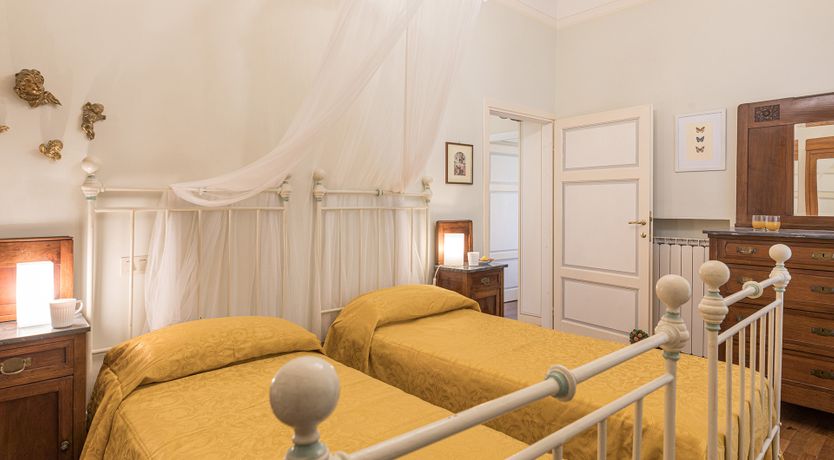 Photo of The Cat's Meow