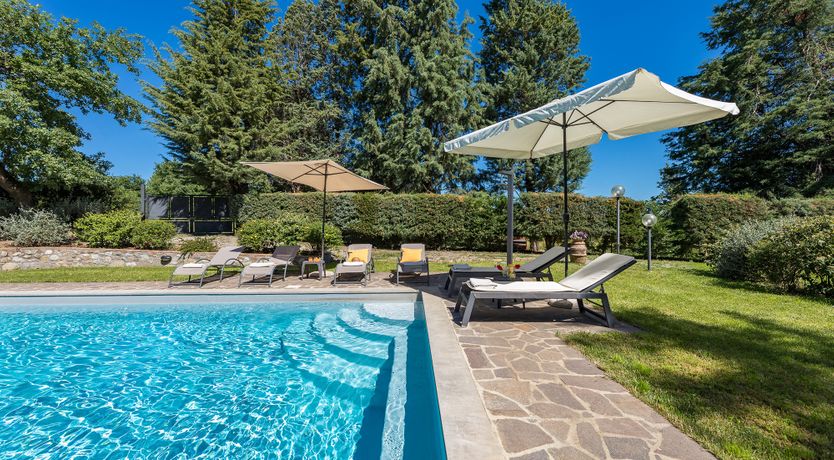 Photo of The Cat's Meow