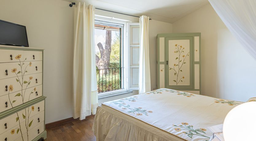 Photo of The Cat's Meow