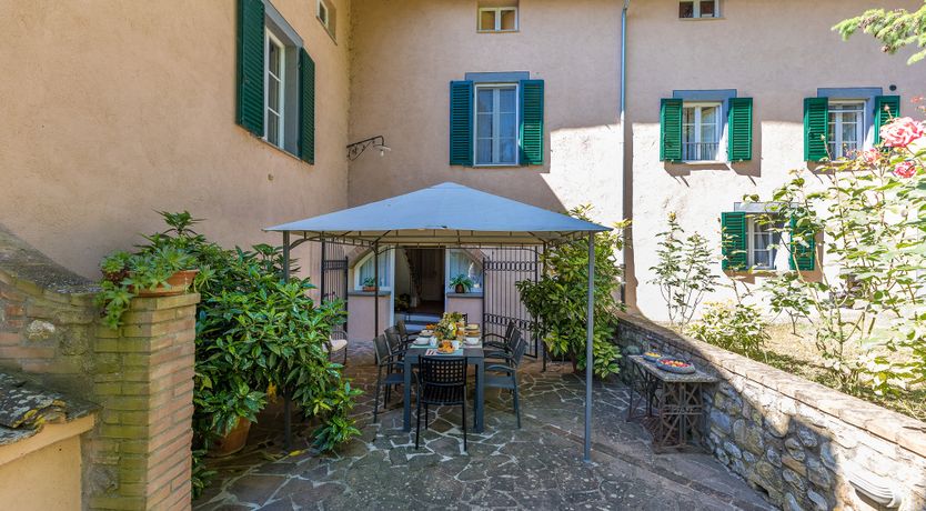 Photo of The Cat's Meow