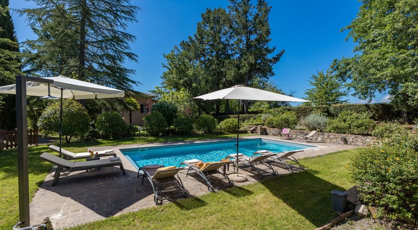 Photo of The Cat's Meow