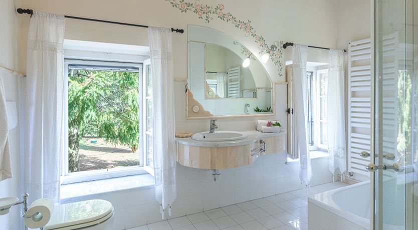 Photo of The Cat's Meow