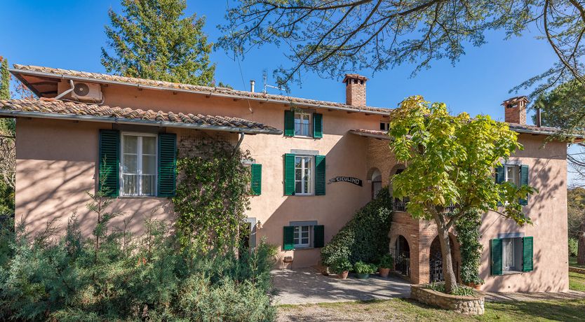 Photo of The Cat's Meow