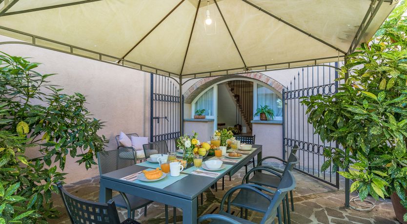 Photo of The Cat's Meow