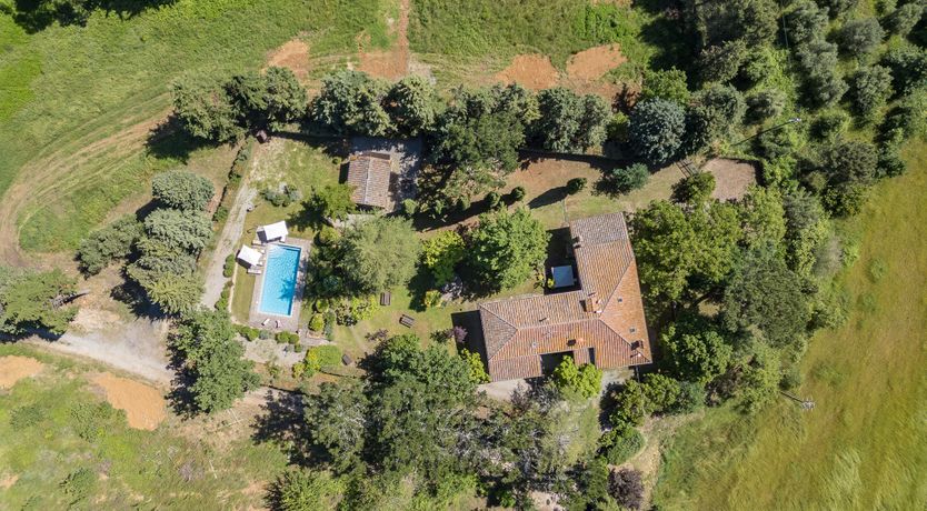 Photo of The Cat's Meow