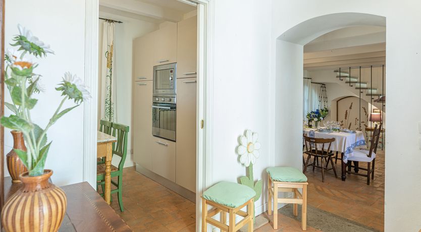 Photo of The Cat's Meow