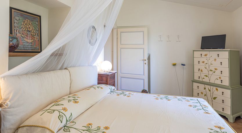 Photo of The Cat's Meow