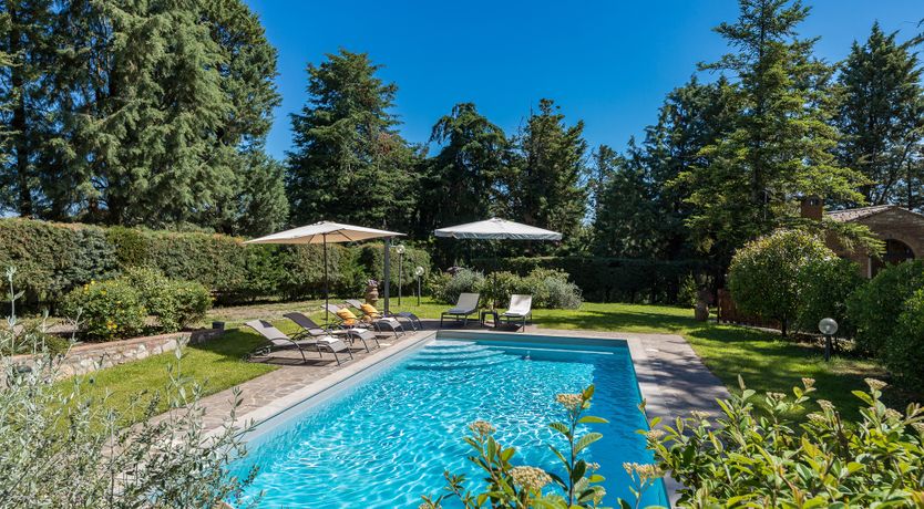 Photo of The Cat's Meow