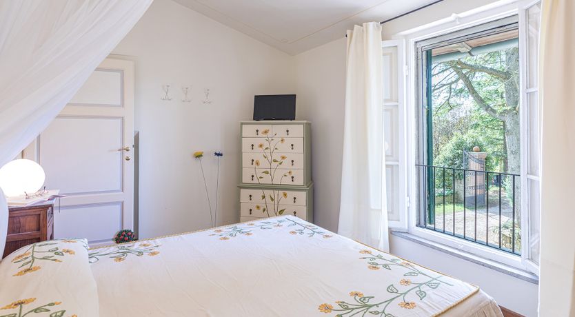 Photo of The Cat's Meow