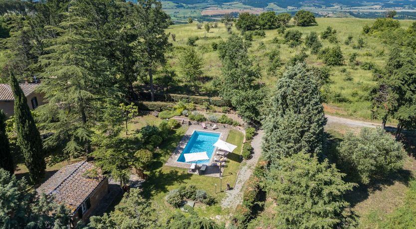 Photo of The Cat's Meow